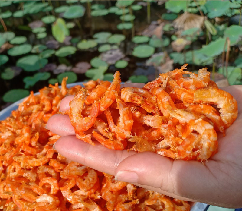 Capture the authentic charm of Tra Vinh’s coastal culture